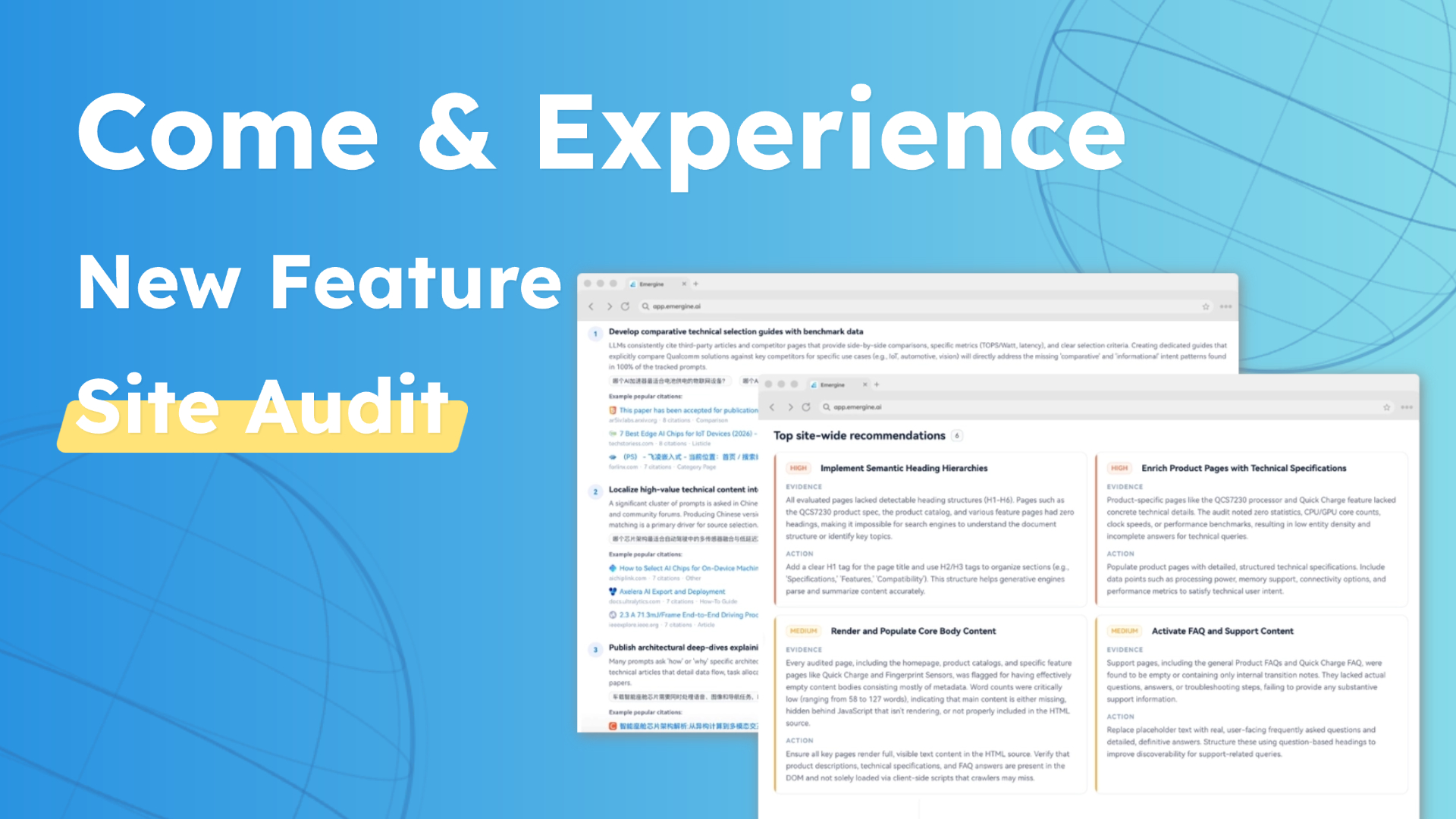 Site Audit